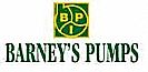 Barney's Pumps